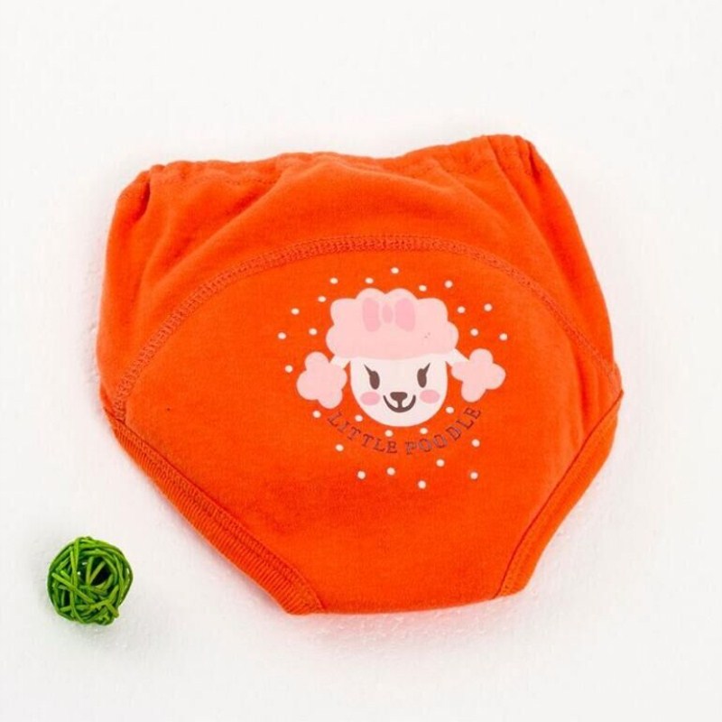 Reusable Nappies Training Pants