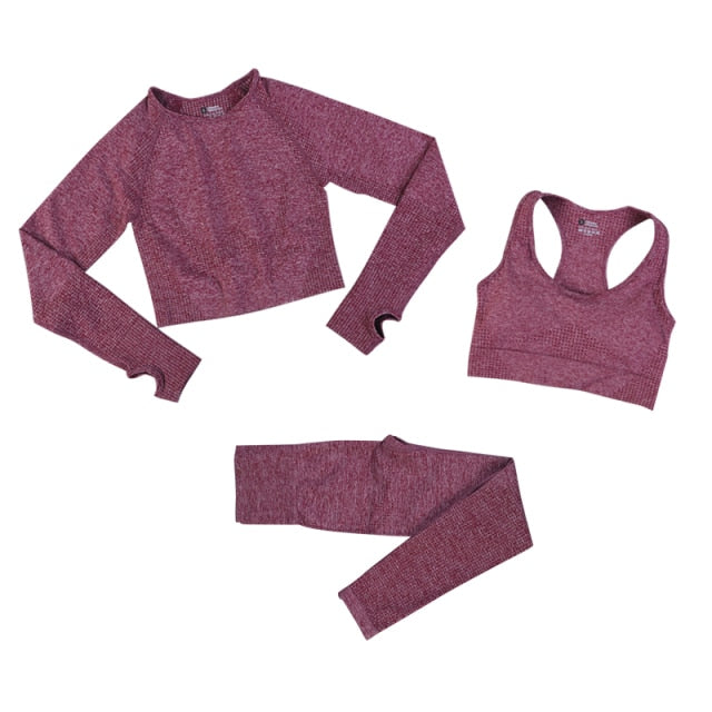 Seamless Leggings Women Tracksuit