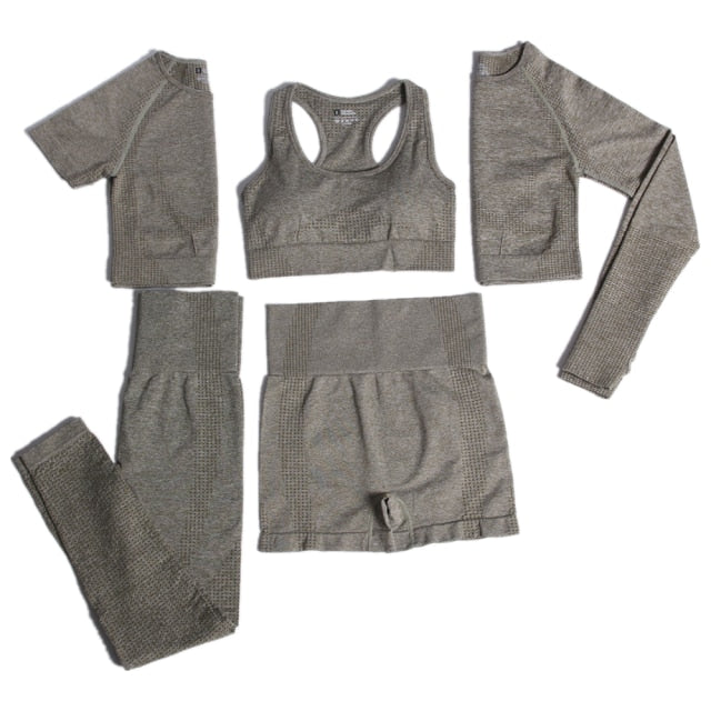 Seamless Leggings Women Tracksuit