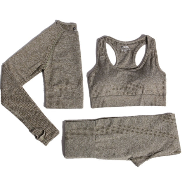 Seamless Leggings Women Tracksuit