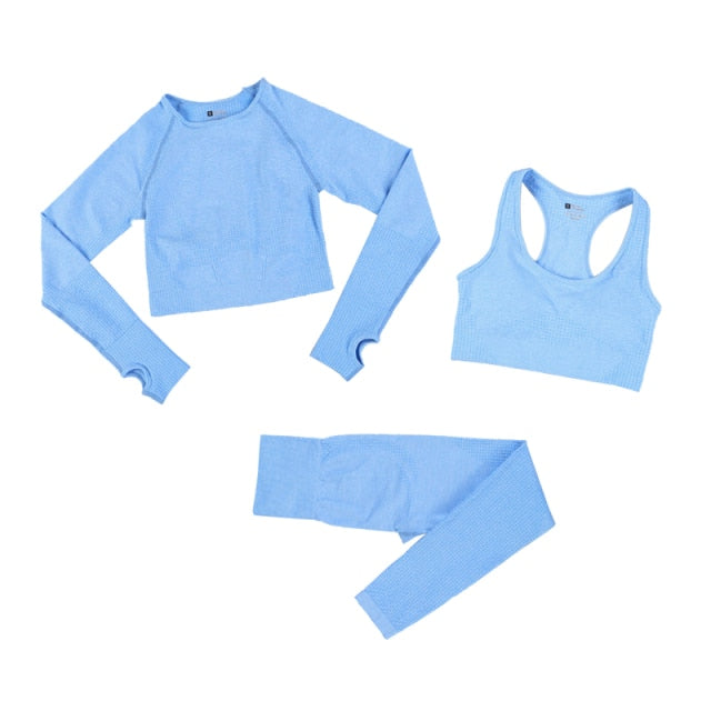 Seamless Leggings Women Tracksuit