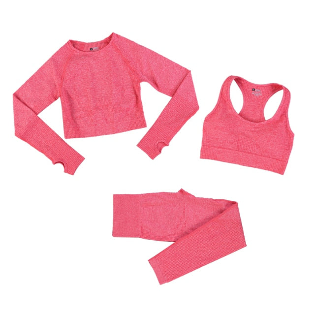Seamless Leggings Women Tracksuit