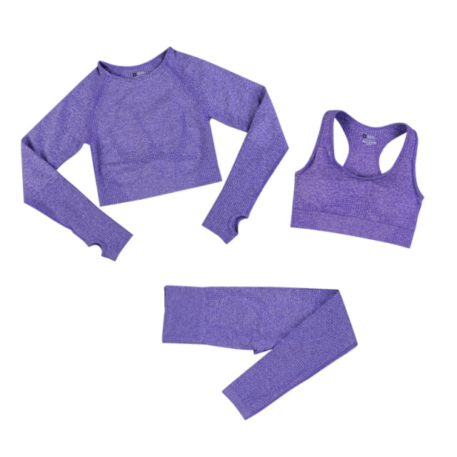 Seamless Leggings Women Tracksuit