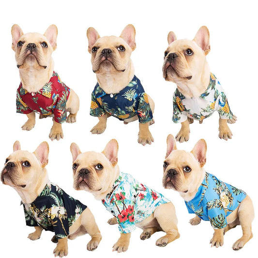 Summer Dog Sweatshirts & Hawaiian Leaf Beach Shirts for Pets