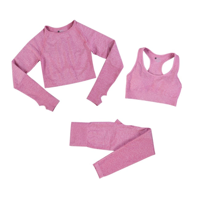 Seamless Leggings Women Tracksuit