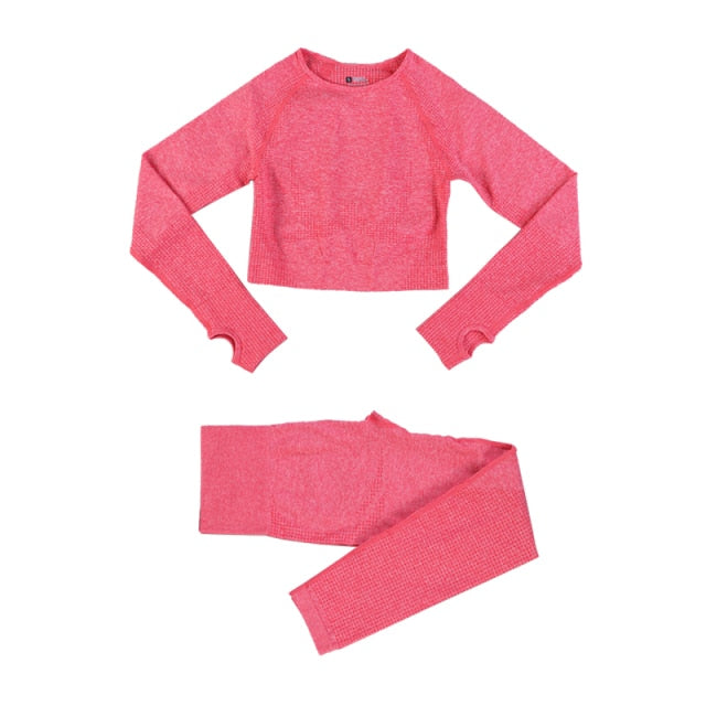 Seamless Leggings Women Tracksuit